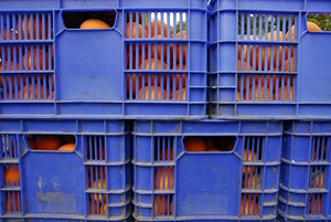 Jaké jsou výhody skládacích přepravek